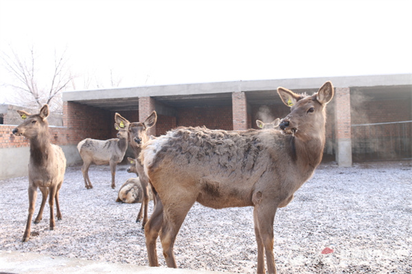 1706160511114950.jpg W020240124767452121994_800.jpg