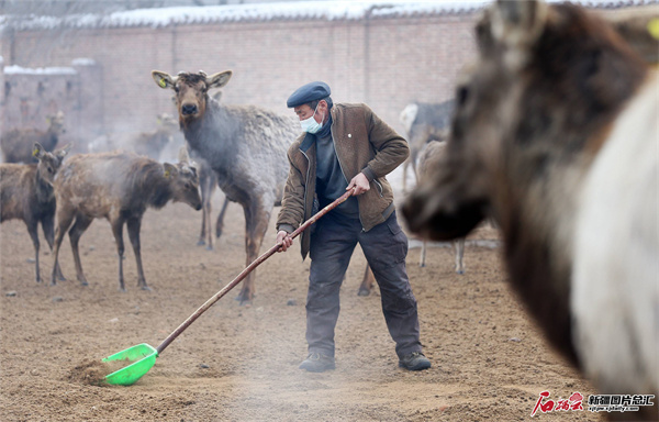 1706590879112411.jpg 52396718327141063.jpg