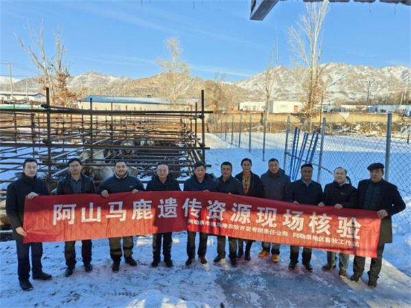 1706593151223507.jpg 20231212170926228003.jpg